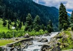 Pahalgam Excursion